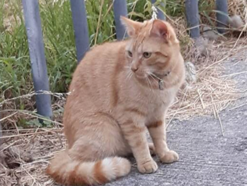 DJ Karel zal nooit meer spinnen :-( #rip