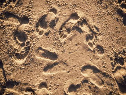 Is het waar? Zijn echt alle hotels vol in Zandvoort op 1,2 en 3 mei 2020?