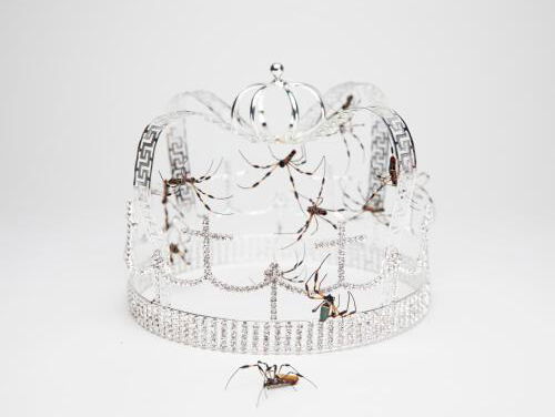 Billie Eilish maakt liefdesliedjes zonder ‘ik hou van jou’