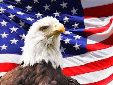 1000 seconden met Victor Vlam over Amerika en de aankomende verkiezingen