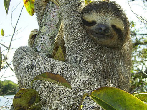 Wie is de 'luiste' 3FM-luisteraar?