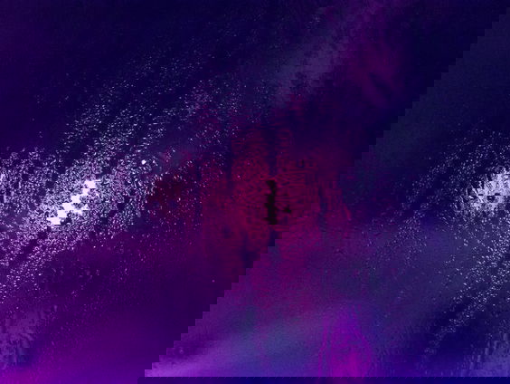 Angelique's ode aan Prince