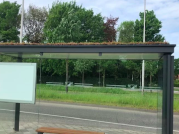 De bijzondere bushokjes speciaal voor bijen in Utrecht