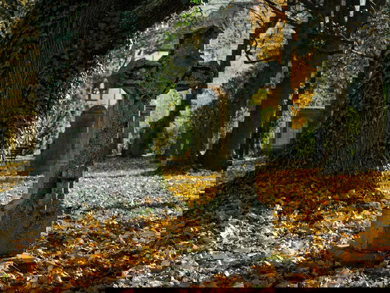 Wat? Begraven worden in een levende doodskist?