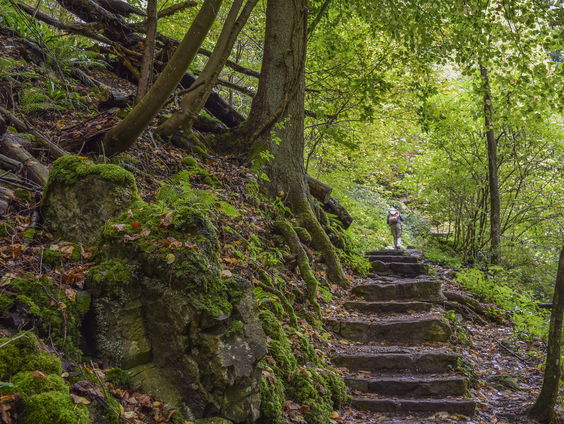 Serious Request: Veroniek loopt naar Luxemburg