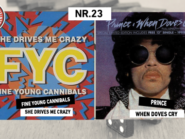 INTRODOMINO: FINE YOUNG CANNIBALS - SHE DRIVES ME CRAZY & PRINCE - WHEN DOVES CRY