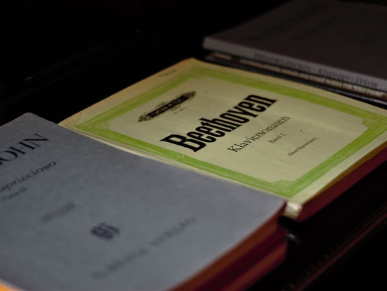 Het is de 250e verjaardag van Beethoven: we duiken even in z'n leven