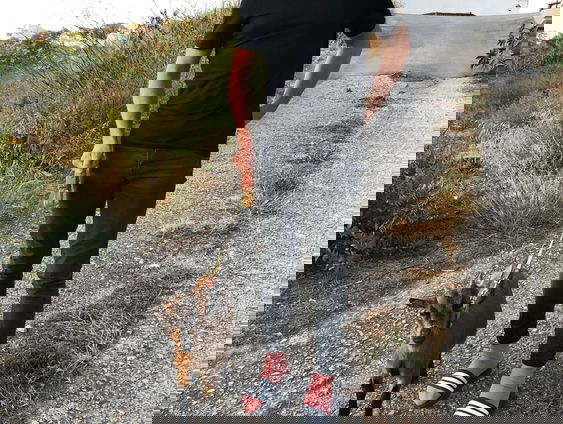 "Sorry zeggen kan zijn waarde verliezen als je er te veel mee bezig bent"