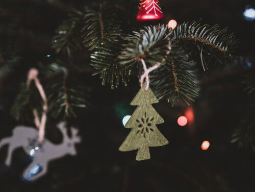 Over originele weekendplannen gesproken, Frank gaat kerst vieren!