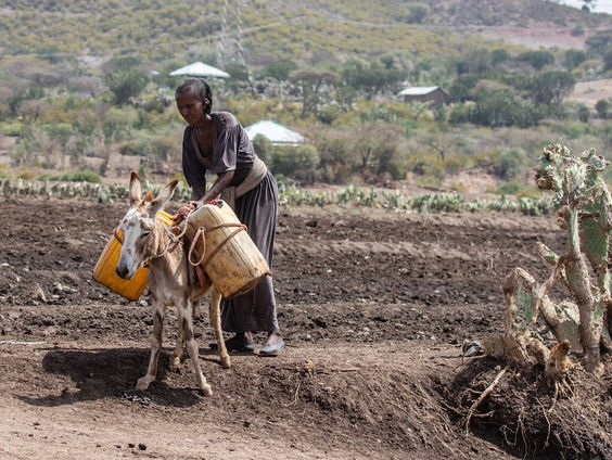 Patrick Lodiers gaat op zoek naar de impact van ontwikkelingssamenwerking