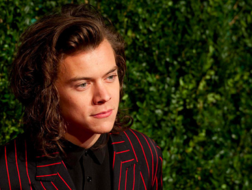Het op maat gemaakte spel over... Harry Styles