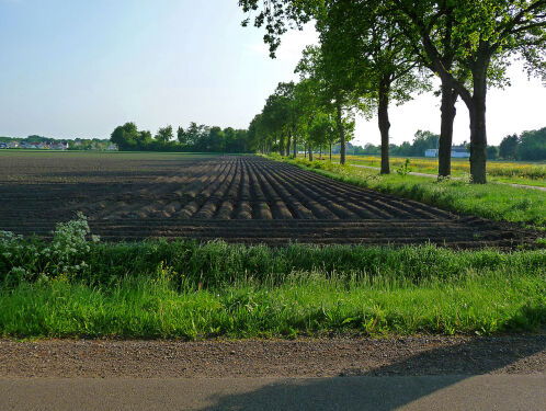 Wherever Wednesday: @DanielLohues creëerde een gezongen landkaart door Drenthe