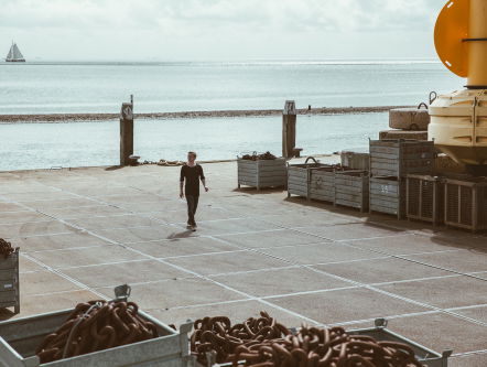 TOLLS na twee jaar weer terug in de Elevator Pitch! #3FM #talent