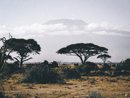 Backpack Track: Anne groef een gat om in te kakken