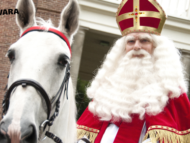Al het gedonder van Sinterklaasavond in 1 minuut