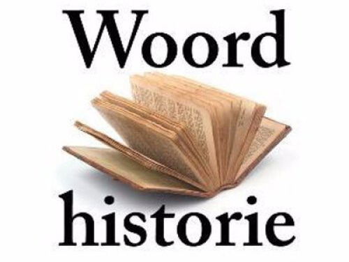 MaartenJan de Woordenman: chili is woord van de dag #3FMFestivalTop999