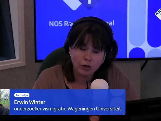 Het gaat niet goed met de zalm.