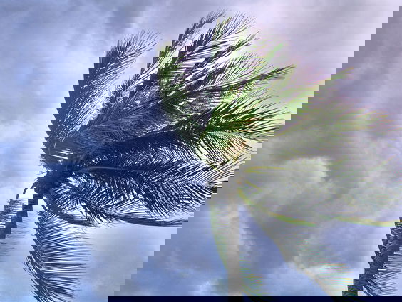 Natasja: "Het was een horrorscene, de laatste tyfoon."