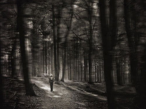 Nederland pessimistischer over de politiek