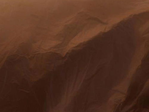 Désanne van Brederode over haar poëziedebuut Verzonnen grond