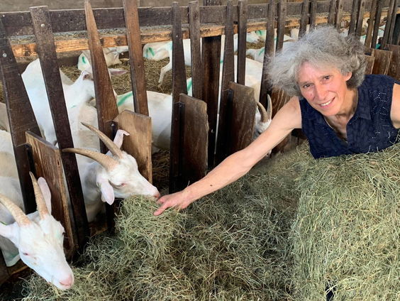 'Schaf btw op biologische producten af om verkoop te stimuleren'