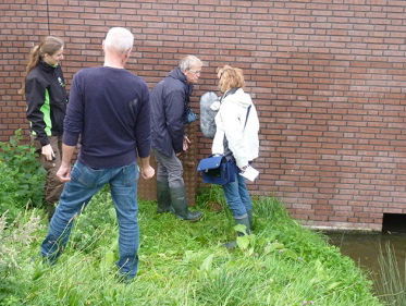 Een villa voor vleermuizen