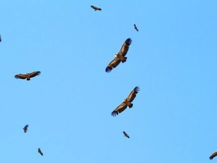 De Nieuwsgieren: wat kunnen we doen tegen stress?