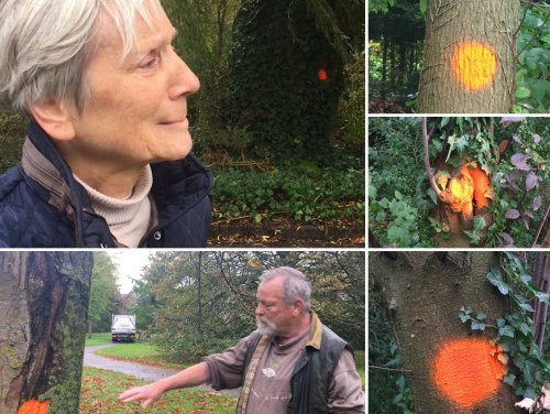 Hard voor Bomen