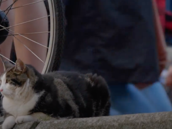 Tikkie Terug met Sabine van der Helm en Abatutu