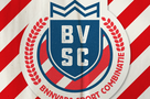 B.V.S.C.