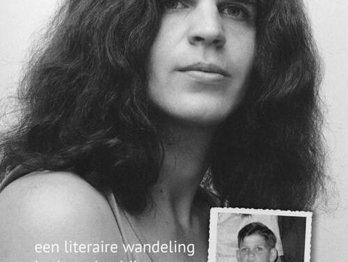 Het Allermooiste - Door de spiegel van A.F.Th. van der Heijden