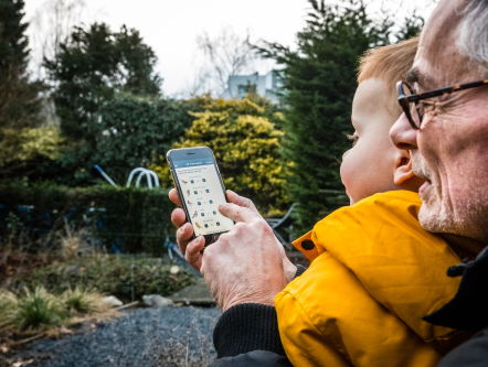 Vleugels van nachtegaal worden kleiner