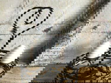 Guus en Sara Luijters schreven een ode aan het ei