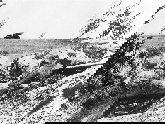 Shellshock in de Eerste Wereldoorlog