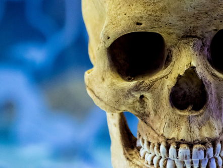 Reportage: If the skulls could talk