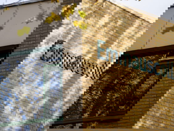 Nu ook ophef op Rotterdamse school na tonen spotprent