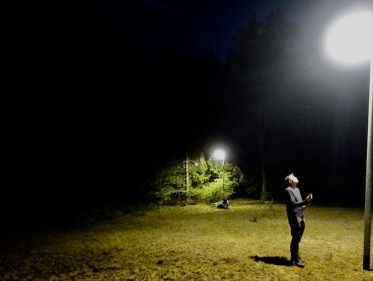 Vleermuizen hebben last van licht (of toch niet?)