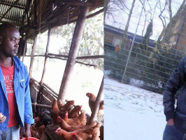 Terug - Over de mensen die Nederland weer verlaten