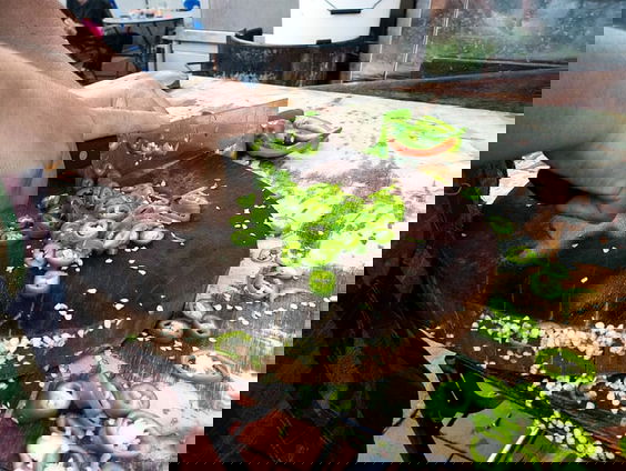 Een klootzak-proof kookboek