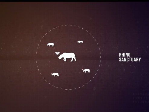 Nederlandse technologie om neushoorns te beschermen