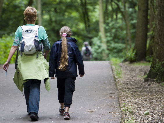 Avondvierdaagse dit jaar via app