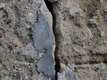 Freek de Jonge: goed dat gaswinning stopt, nu de gedupeerden helpen