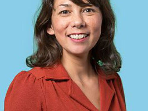 Mei Li Vos: 'Videosollicitatie tegen racisme'