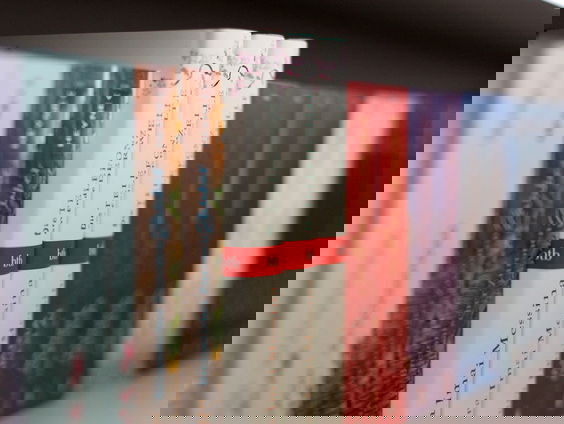 Vuurland: een nieuw platform voor jonge schrijvers