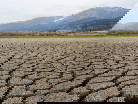 Rosalinde (14) schrijft brief aan Rutte: 'Dit is mijn toekomst en van zoveel andere jongeren'