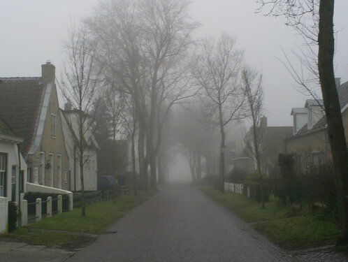 Troostradio: natuurgeluiden in dorp, stad en park