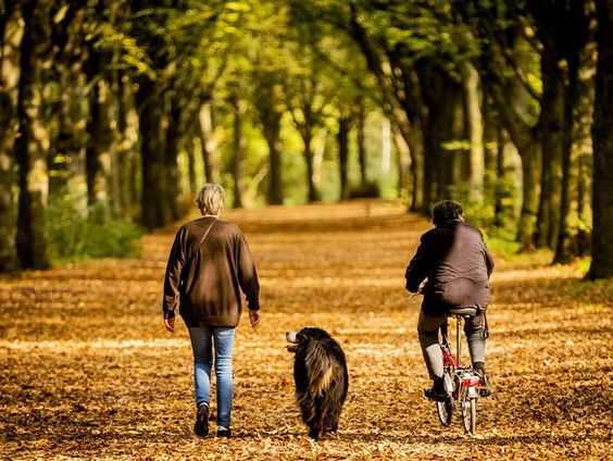 Stand.nl: We moeten meer bewegen