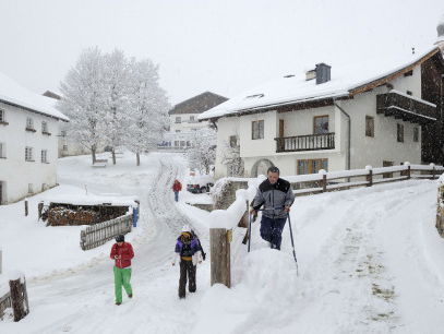 Massaclaim tegen autoriteiten in Tirol
