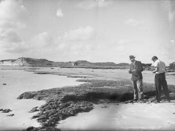 Het Spoor Terug: de vergeten dam naar Ameland