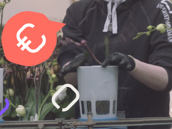 Nauwelijks grip op uitbuiting arbeidsmigranten door uitzendbureaus